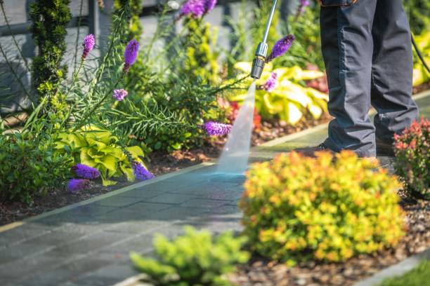Best Dumpster Area Cleaning  in Sale Creek, TN