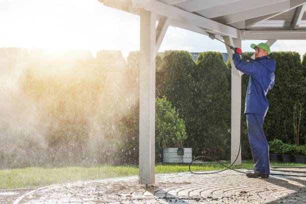 Best Building Exterior Washing  in Sale Creek, TN